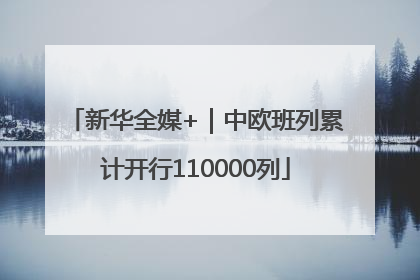 新华全媒+｜中欧班列累计开行110000列